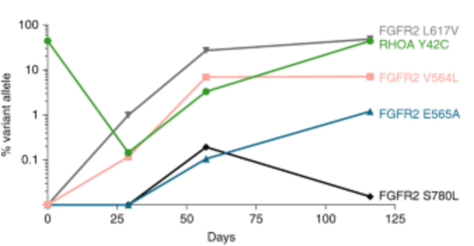 Liquid versus tissue biopsy for detecting acquired resistance and tumor heterogeneity in gastrointestinal cancers