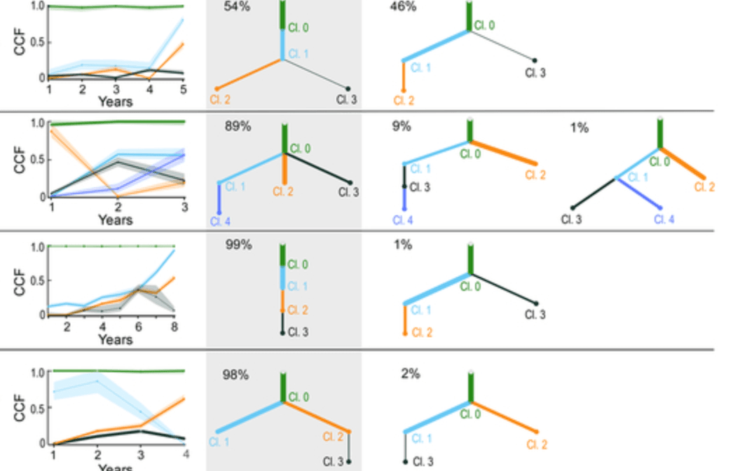 Growth dynamics in naturally progressing chronic lymphocytic leukaemia